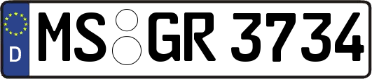 MS-GR3734