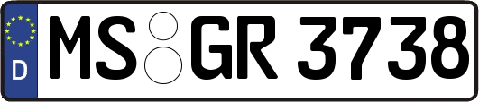 MS-GR3738