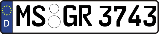 MS-GR3743