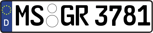 MS-GR3781