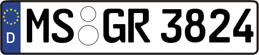 MS-GR3824