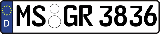 MS-GR3836