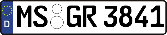 MS-GR3841