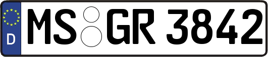 MS-GR3842