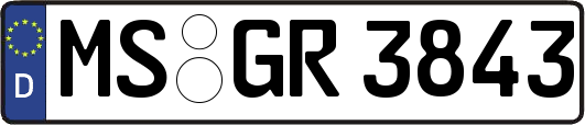 MS-GR3843
