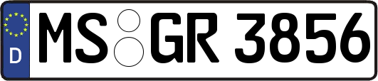 MS-GR3856