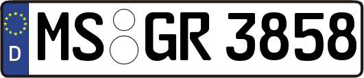 MS-GR3858