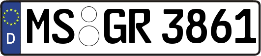 MS-GR3861