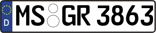 MS-GR3863