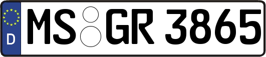 MS-GR3865
