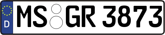 MS-GR3873