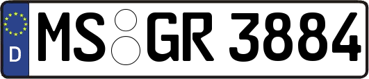 MS-GR3884