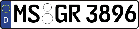 MS-GR3896