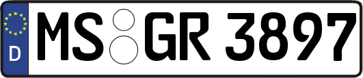 MS-GR3897