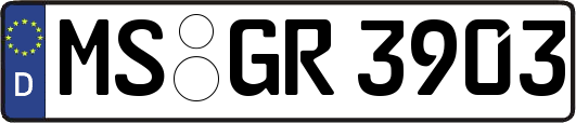 MS-GR3903