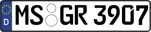 MS-GR3907