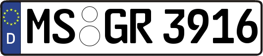 MS-GR3916