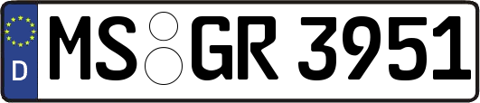 MS-GR3951