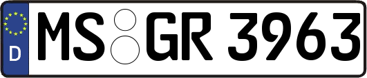 MS-GR3963
