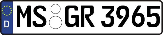 MS-GR3965
