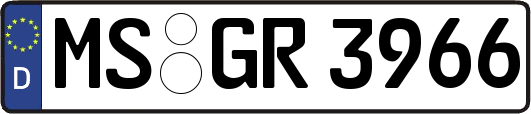 MS-GR3966
