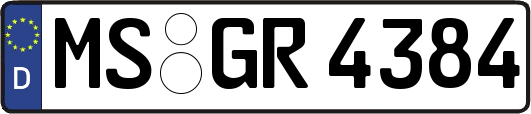 MS-GR4384