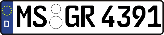MS-GR4391