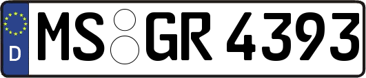 MS-GR4393