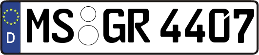 MS-GR4407