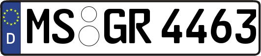 MS-GR4463