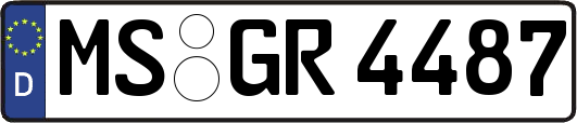 MS-GR4487