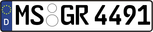 MS-GR4491