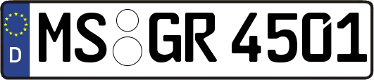 MS-GR4501