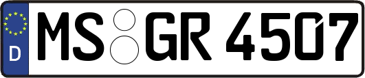 MS-GR4507