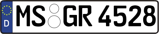 MS-GR4528