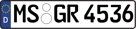 MS-GR4536