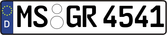 MS-GR4541