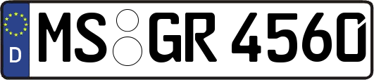 MS-GR4560