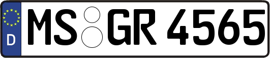 MS-GR4565