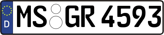 MS-GR4593