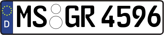 MS-GR4596