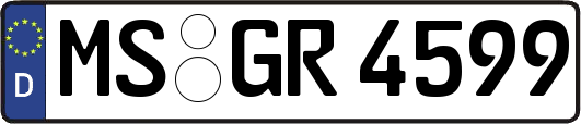 MS-GR4599