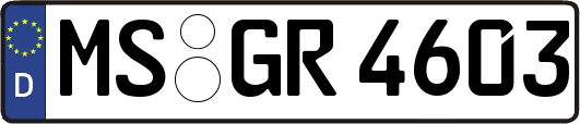 MS-GR4603