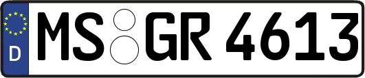 MS-GR4613