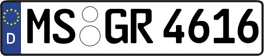 MS-GR4616