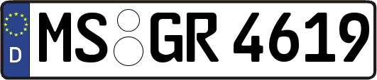MS-GR4619