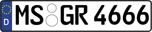 MS-GR4666