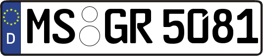 MS-GR5081