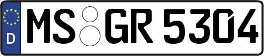 MS-GR5304