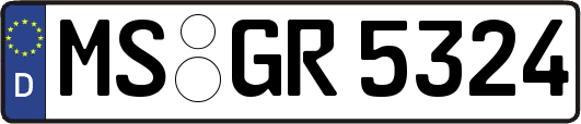 MS-GR5324